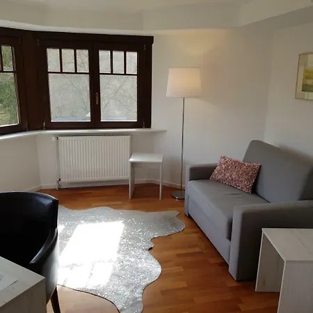 מלון Oberwaldhaus 2*